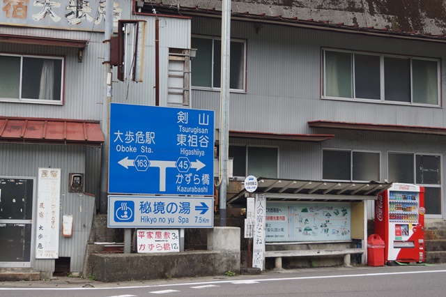 藤田八束の徳島の旅:アンパンマン列車と新緑の大歩危・小歩危・・・・吉野川の源流を歩く旅_d0181492_1423317.jpg