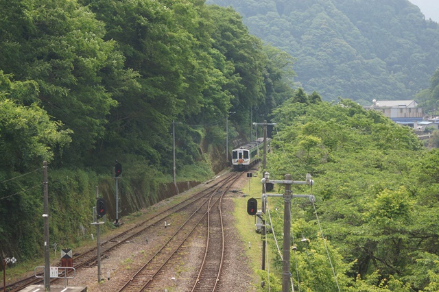 藤田八束の徳島の旅:アンパンマン列車と新緑の大歩危・小歩危・・・・吉野川の源流を歩く旅_d0181492_1427535.jpg