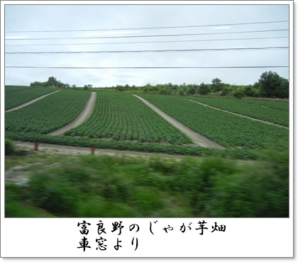 c0361298_21403103.jpg