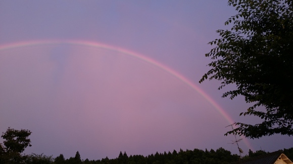 7月1日  雨のち晴れ_e0304003_20482152.jpg