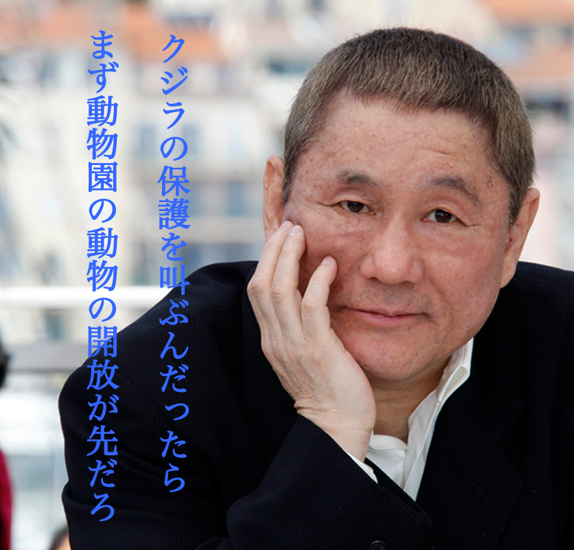 知っていると生き方が変わるno ６３ ビートたけし 北野 武 の名言 みつい 禮の演歌部屋
