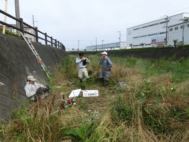 梅雨の晴れ間に小潤井川で草刈り　夜の払いはいつもの「ホルモン忠ちゃん」_f0141310_7273172.jpg