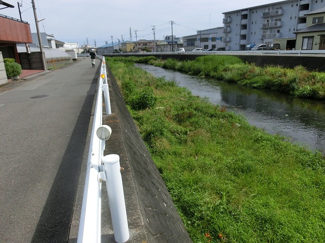 梅雨の晴れ間に小潤井川で草刈り 夜の払いはいつもの「ホルモン忠ちゃん」_f0141310_728064.jpg
