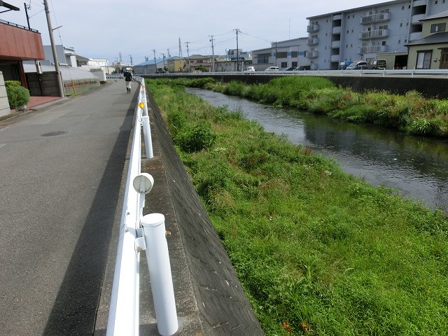 梅雨の晴れ間に小潤井川で草刈り　夜の払いはいつもの「ホルモン忠ちゃん」_f0141310_728064.jpg