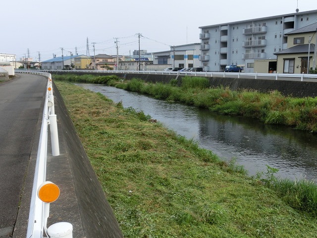 梅雨の晴れ間に小潤井川で草刈り 夜の払いはいつもの「ホルモン忠ちゃん」_f0141310_7281635.jpg
