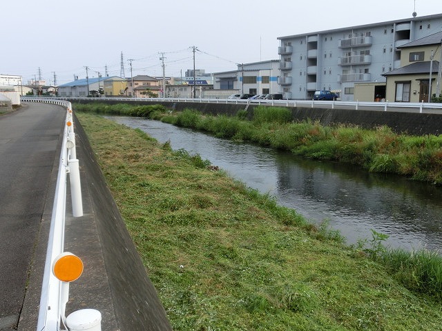 梅雨の晴れ間に小潤井川で草刈り　夜の払いはいつもの「ホルモン忠ちゃん」_f0141310_7281635.jpg