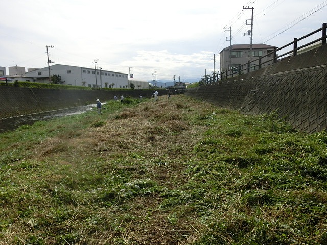 梅雨の晴れ間に小潤井川で草刈り 夜の払いはいつもの「ホルモン忠ちゃん」_f0141310_7283766.jpg