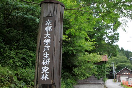 芦生の演習林_e0048413_20575113.jpg