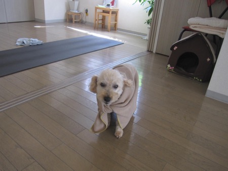 盲亀浮木_a0077315_200348.jpg