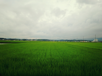 お散歩時間_e0149215_22392857.png