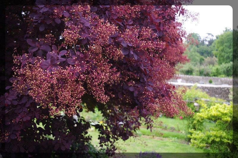 イギリス旅行記3　Bibury_e0136424_17282119.jpg