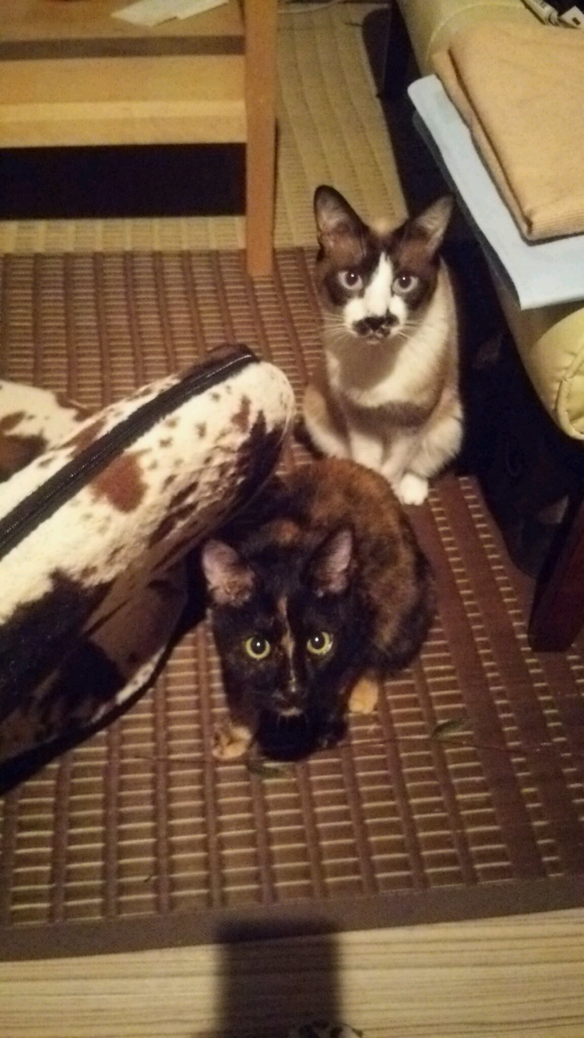 c0342535_14361350.jpeg