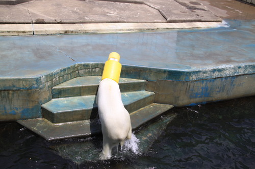 たのしい動物園　7月1日_f0113639_18431557.jpg