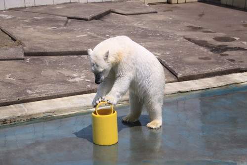 たのしい動物園　7月1日_f0113639_18433645.jpg