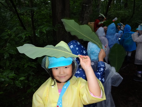 ゆり組さん 夢の森公園に行ってきました!_d0166047_14585791.jpg