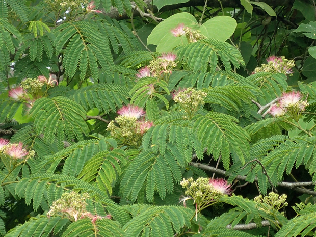 f0214649_312034.jpg