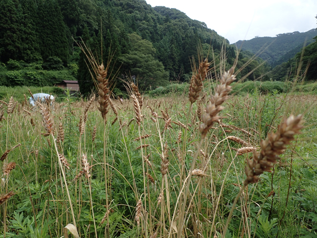 f0214649_332895.jpg