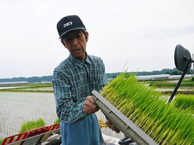 七城米　長尾農園　美しすぎる田んぼの田植え（2015）その２：ヨーイ！ドン!!でスタートさせるために_a0254656_1864639.jpg