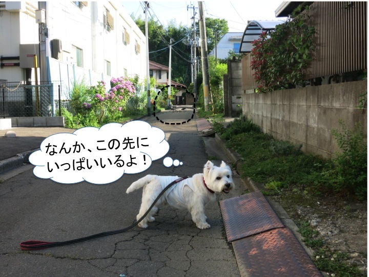 棚からぼた餅_c0260460_17081975.jpg