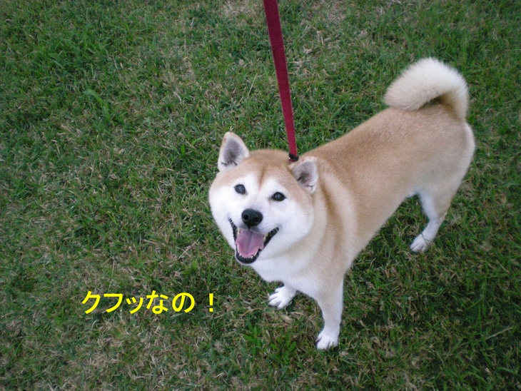 ’15,7,1(水)「銀座の画廊めぐり」に行ってきたYO!_f0060461_1103424.jpg