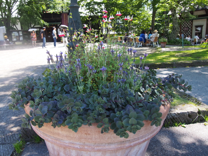 b0194267_19441547.jpg