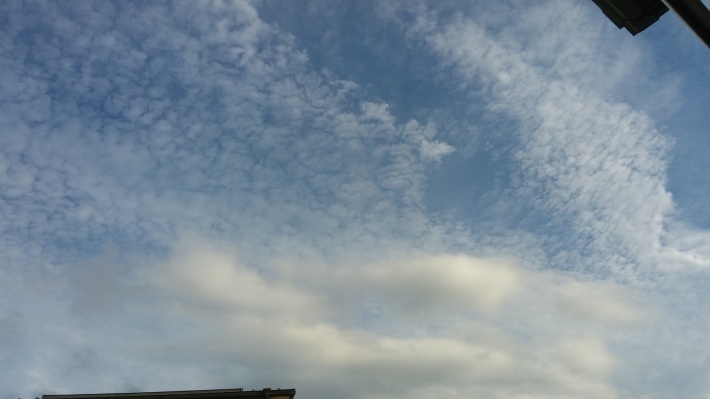 f0353168_17385244.jpg