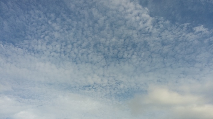 f0353168_17392037.jpg