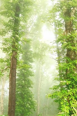 e0213873_2138564.jpg