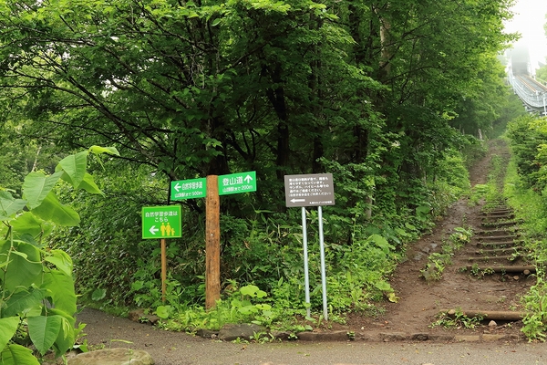 e0213873_21405588.jpg