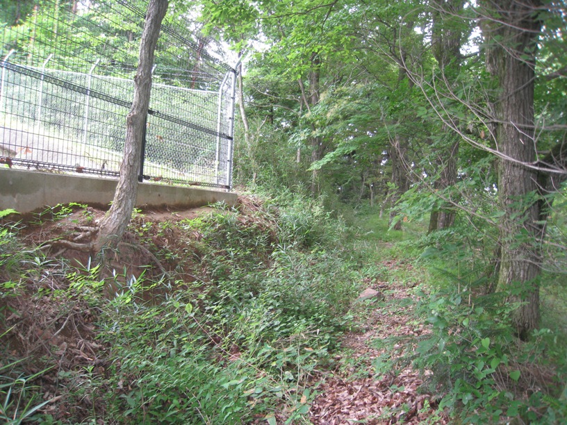 山田村―上鳥渡間の山王道筋確認②~山田村の散策振り返り⑱_a0087378_99189.jpg