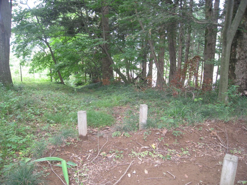山田村―上鳥渡間の山王道筋確認②~山田村の散策振り返り⑱_a0087378_995897.jpg