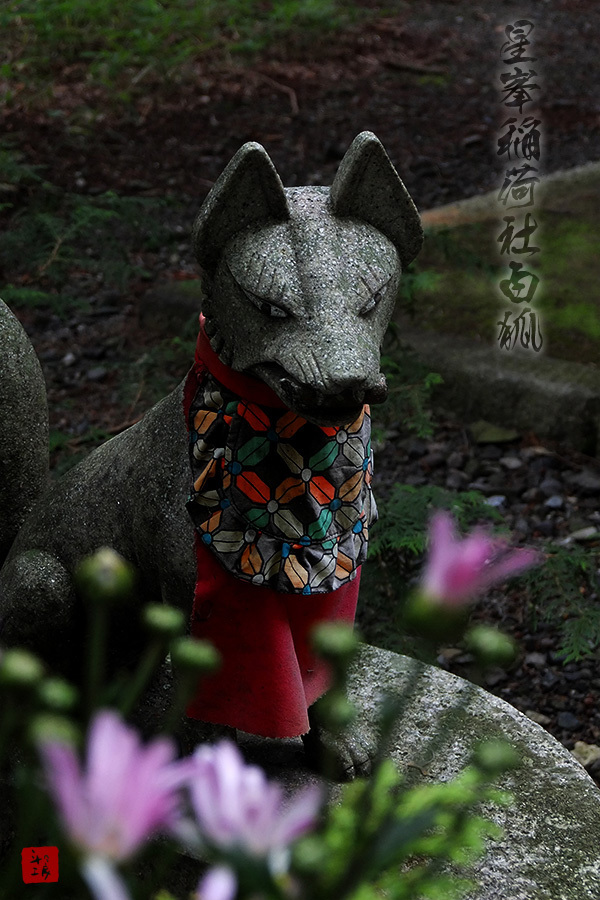星峯稲荷の白狐さん_a0034287_14073465.jpg