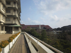 c0220592_11173991.gif
