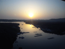 c0220592_11175759.gif