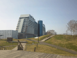c0220592_1117599.gif