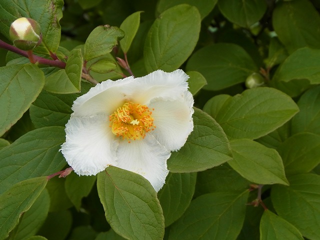 再スタート_e0114895_14141243.jpg