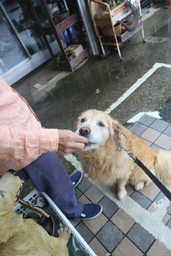 雨の日の一番乗りのお客さん♪_b0275998_11171783.jpg