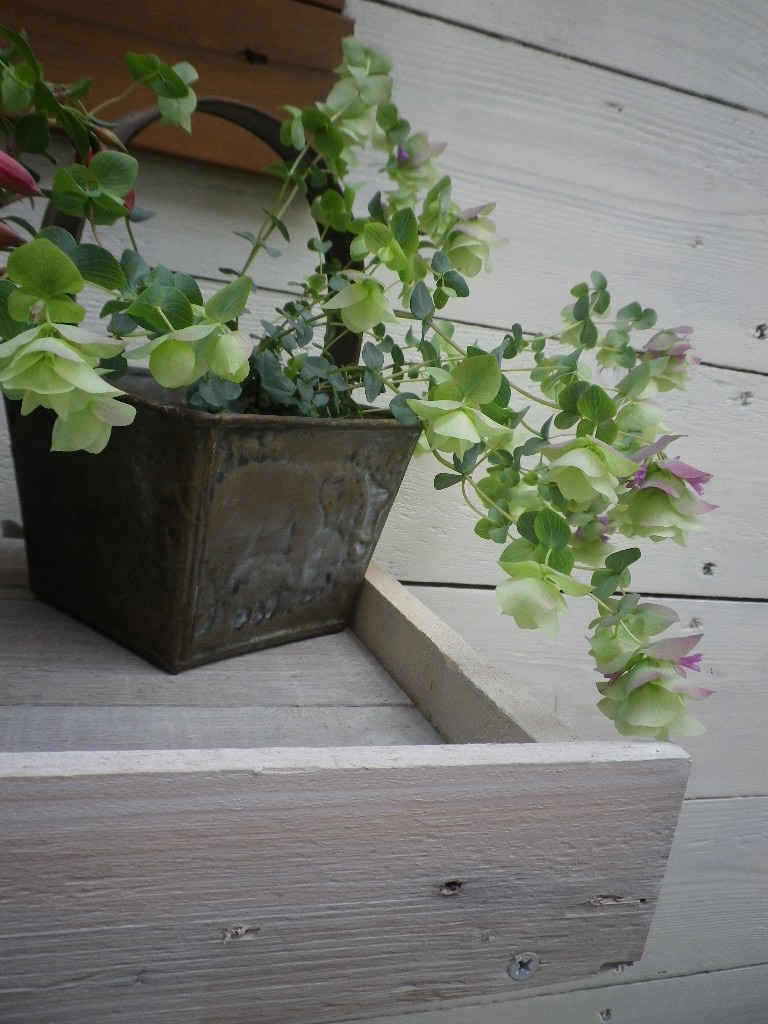 e0052716_11214971.jpg