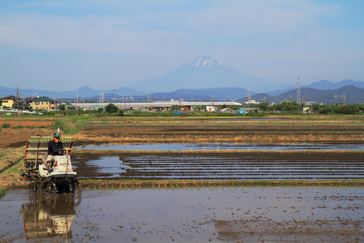 田んぼと富士と新幹線_e0157717_23062507.jpg