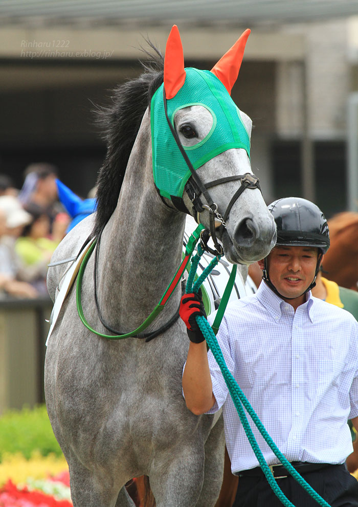 2015.6.14 東京競馬場☆リリカルホワイト【Thoroughbred】_f0250322_21231425.jpg