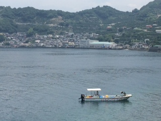 c0117028_11172445.jpg