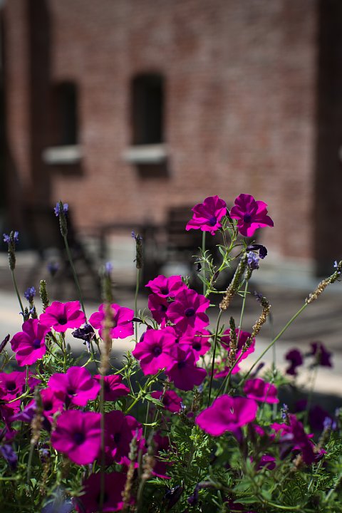 b0134829_160777.jpg