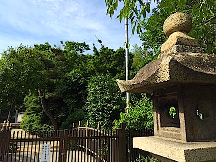 ヤマトタケル ㉒ 孫の応神天皇 〜 誉田八幡宮_a0300530_15562227.jpg