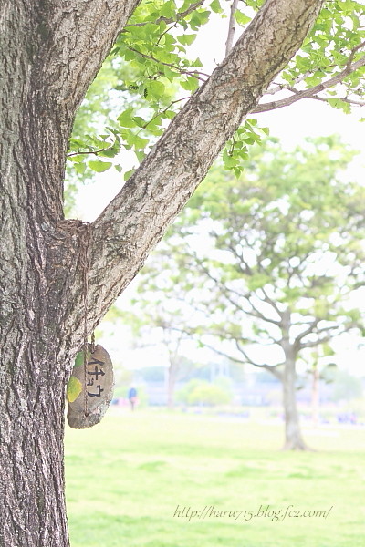 かわいい看板みつけた♪_e0347431_11374623.jpg