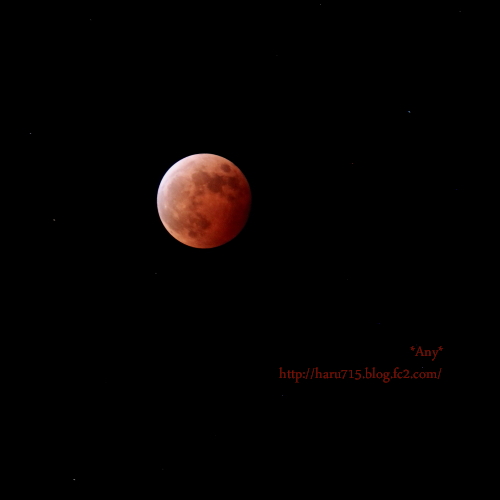 e0347431_11431883.jpg