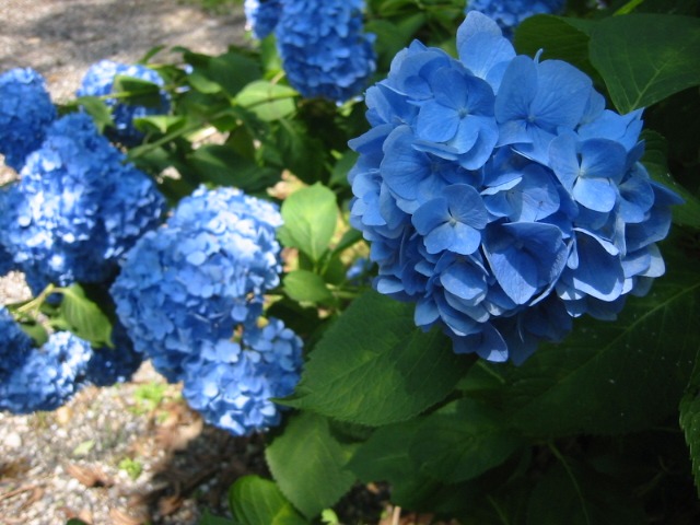 c0113733_0303184.jpg