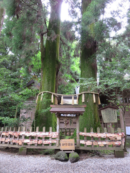 c0239833_23592376.jpg