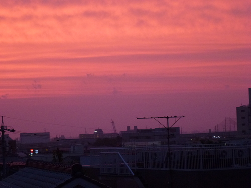 a0053036_2004259.jpg