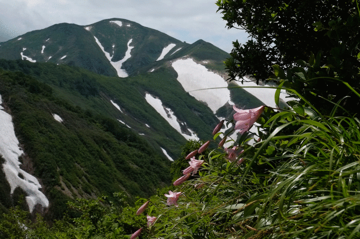 d0237340_22560440.gif