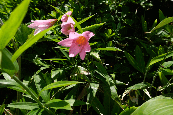 d0237340_22571435.gif